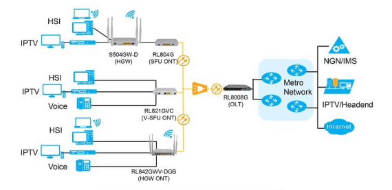 optical access network